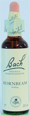 Bach Avnb�g (Hornbeam)